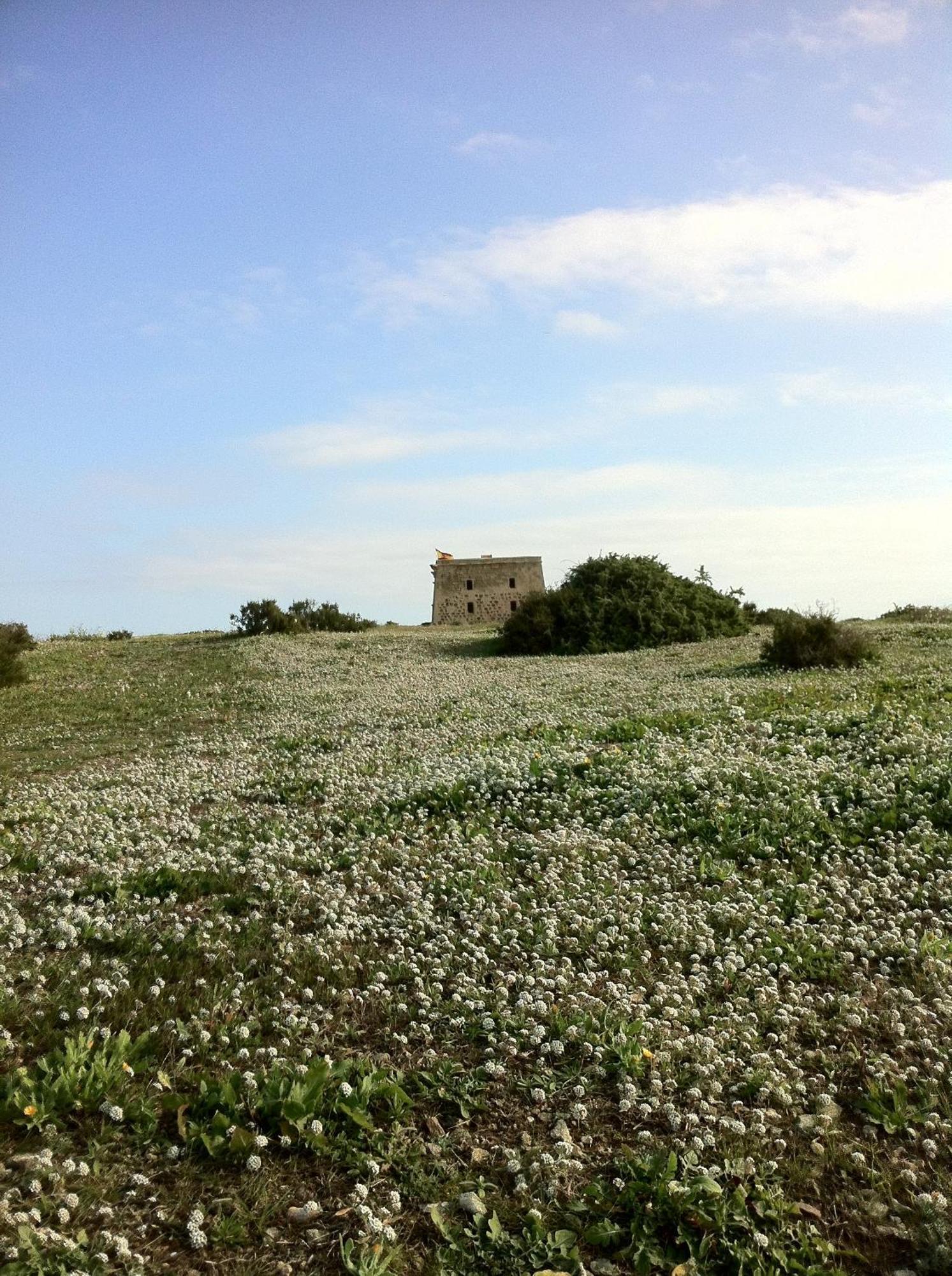 Boutique Isla Tabarca Ξενοδοχείο Εξωτερικό φωτογραφία